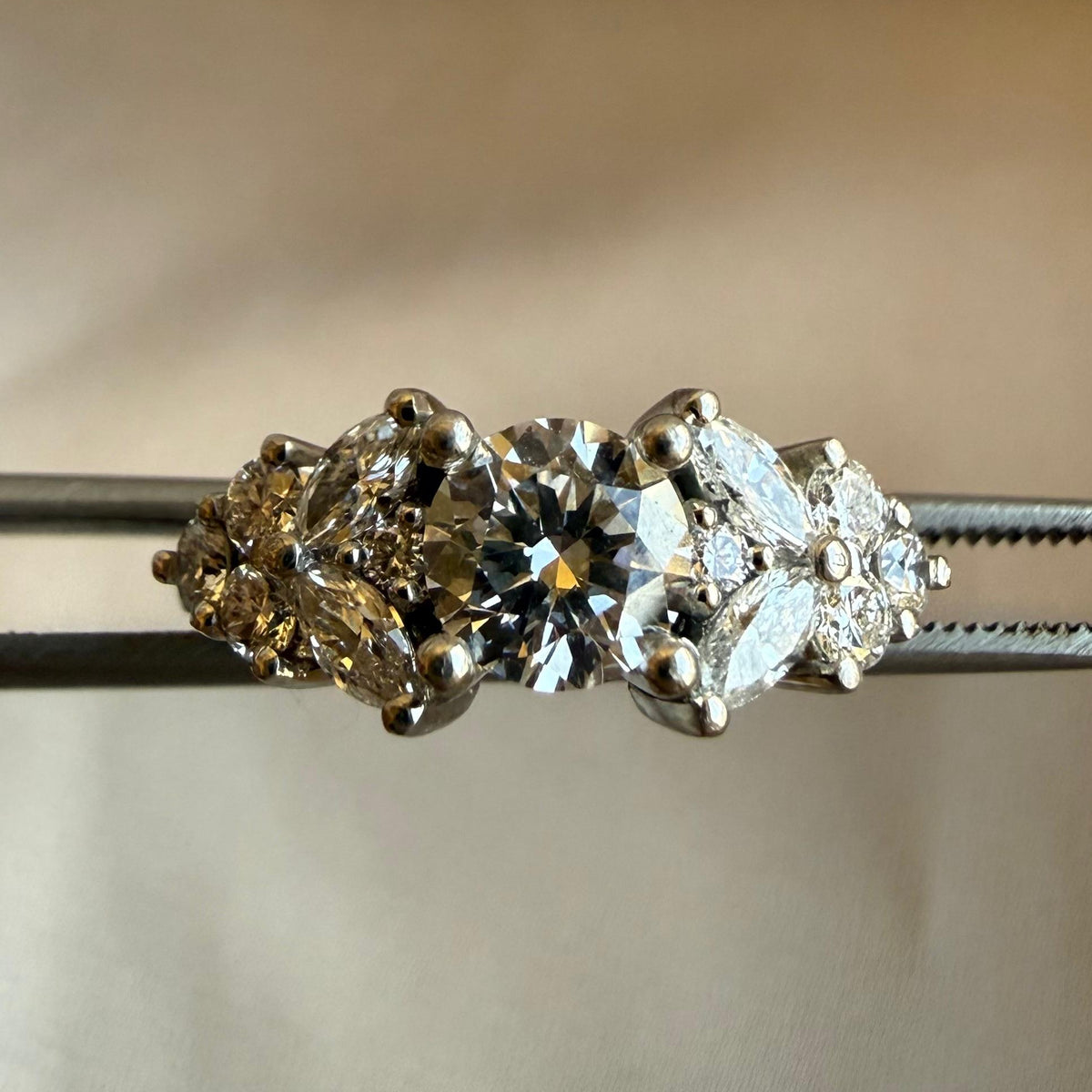 Anillo Laurier